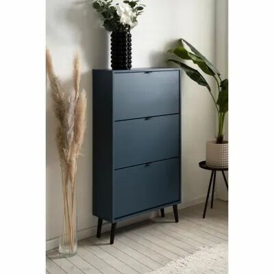 Range-chaussures VIGO 49A Bleu 70 x 24 x 125 cm